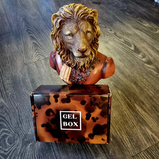 NOVEMBER GEL BOX. MONTHLY SUBSCRIPTION